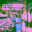 Work